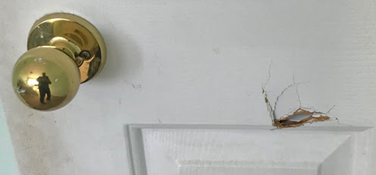 interior door hole repair Monrovia