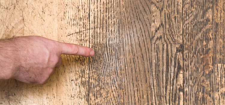 Wood Door Scratch Repair in Monrovia